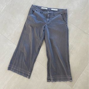 Anthropologie Pilcro Hyphen Grey Cropped Wide Leg 31